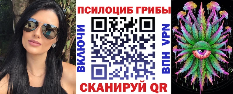 Псилоцибиновые грибы Cubensis  гидра ТОР  Котельнич 